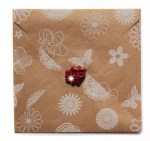 mc-env-wt-bkgrd-small