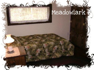 meadowlark