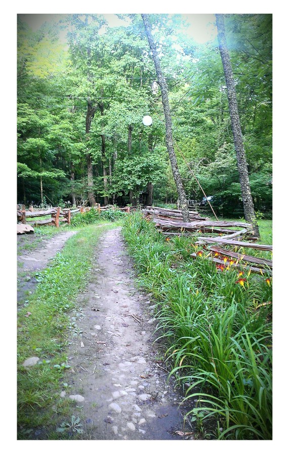 walk in the woods mca 2015